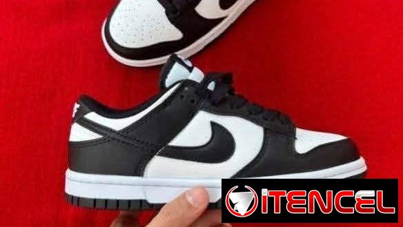 Nike  Dunk  Panda