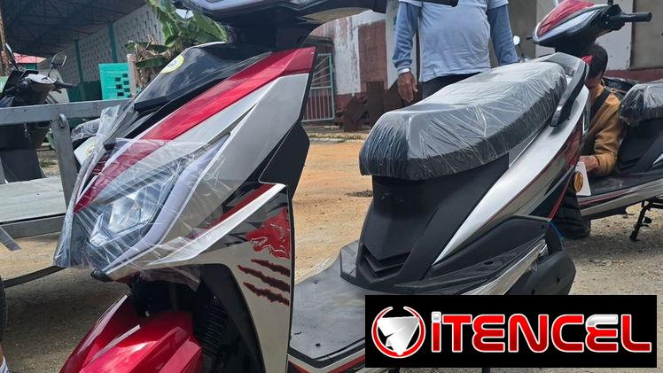 MOTO ELÉCTRICA PANDA