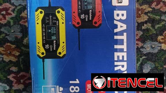 Cargador de Bateria 10A de 12-24V