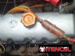 Vendo Moscovich