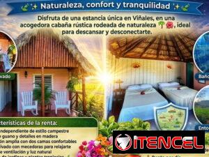 13370ec6625d3519d08254dbab2843f560a90223f8a93cea3f07dc30ecfa90bc