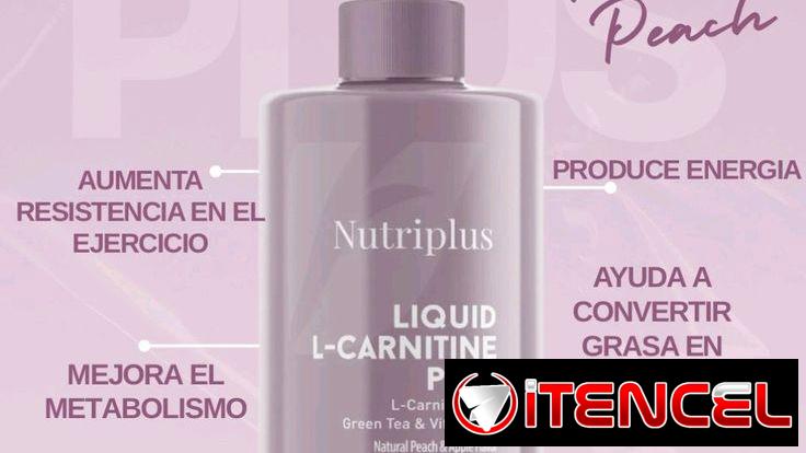 Quemador de grasa ( Convierte tu grasa en energía)