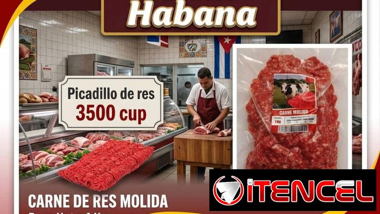 Carne molida