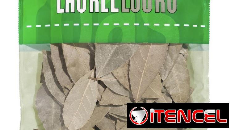 Hojas de Laurel importadas
