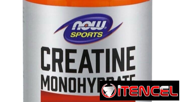 CREATINA MONOHIDRATADA NOW SPORTS 55055685 ACEPTO CUP