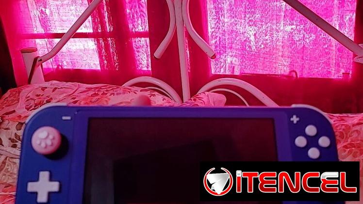 Vendo Nintendo Switch Lite