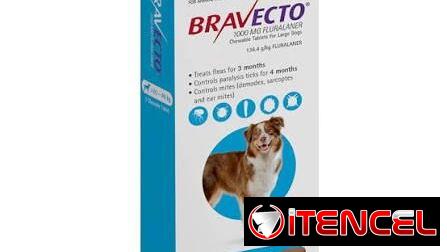 Bravecto 20-40kg