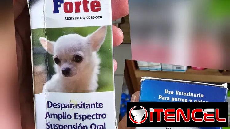 VERMI PUPPY FORTE