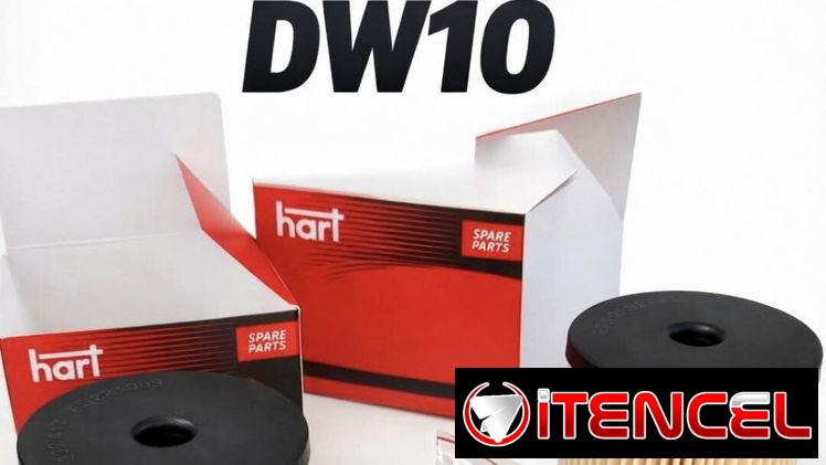 Filtro aire Peugeot DW10