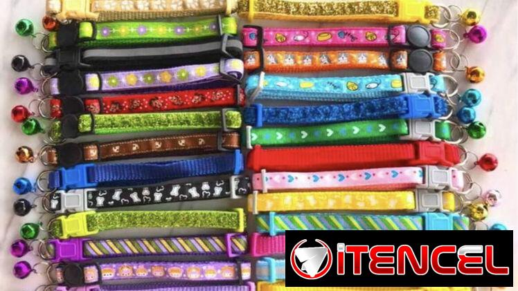 Collares para perros