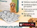 veterinaria a domicilio
