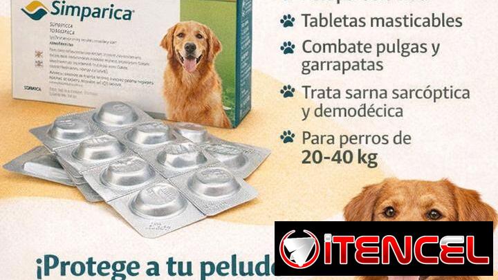 veterinaria a domicilio