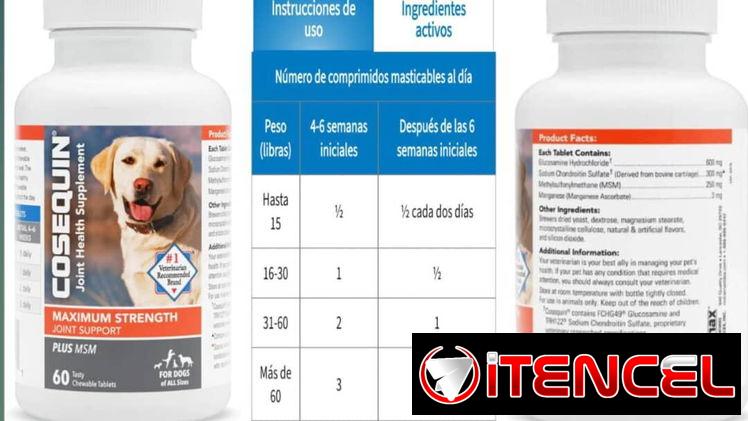 Glucosamina condroitin