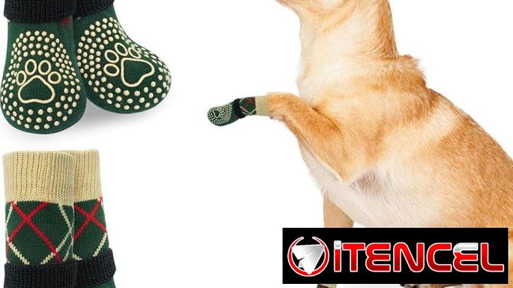 Calcetines para perros antideslizantes