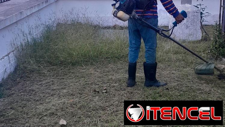 jardinería y Servicio de limpieza de exteriores
