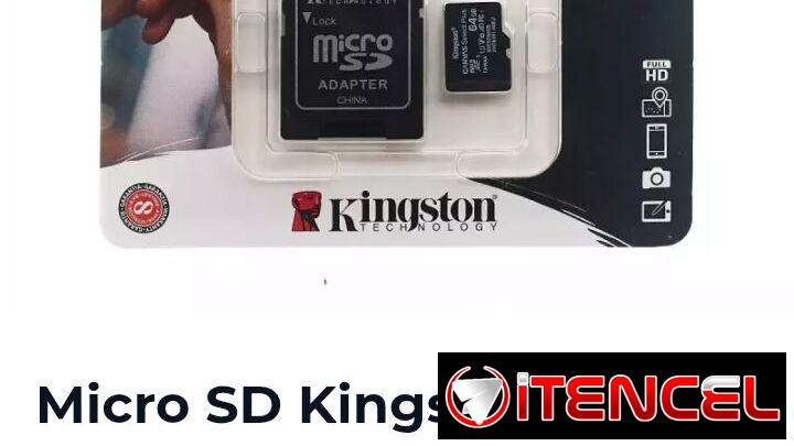 Micro SD Kingston (64 GB)