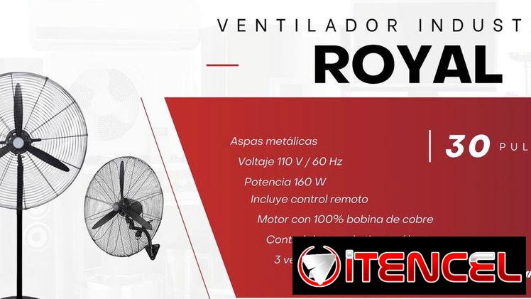 Ventiladores ciclones de pedestal industriales 30 pulgadas Royal los mejores