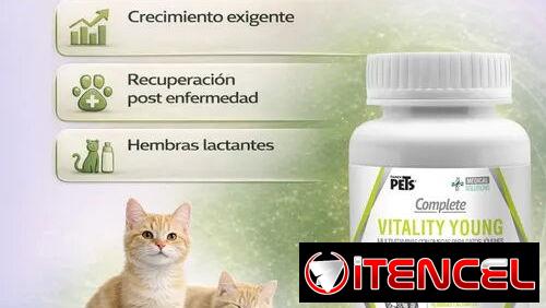 Multivitaminas para gatos