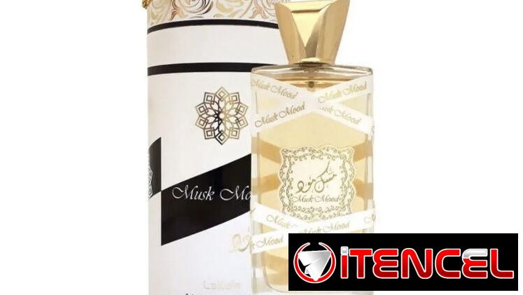Musk Mood Unisex – 100ml (3.4 FL.OZ) Eau de Parfum 100% Originales Sellados 63142460