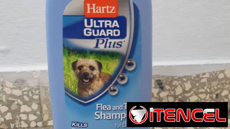 Shampoo para perros