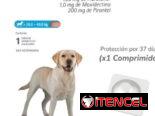 Bravecto 1M Triple
