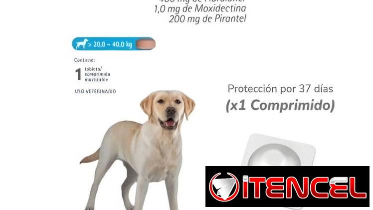 Bravecto 1M Triple