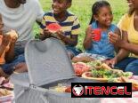 Cesta para picnic. Canasta paseo almuerzo.
