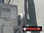 10 🧊 ¡CLIMA PERFECTO EN CASA! – Servicio Técnico de Refrigeración 🥶❄️