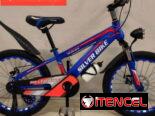 Bicicleta medidas 20    -150usd