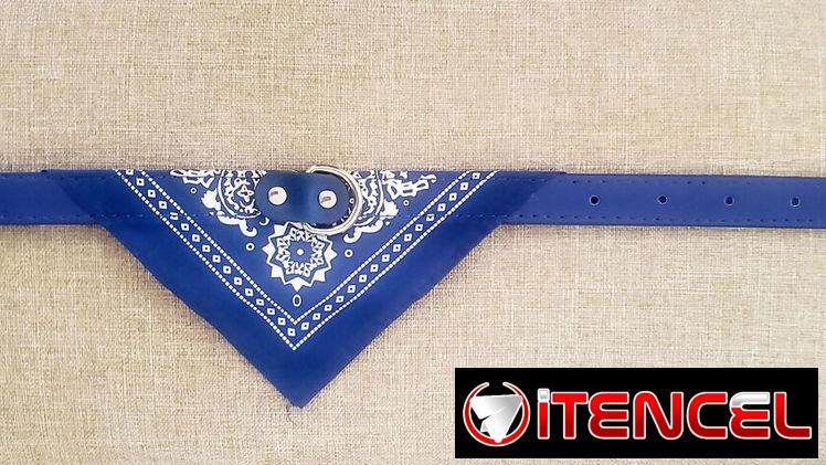 Collares para las mascotas de casa!