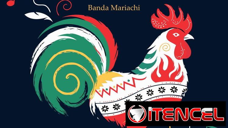 MARIACHIS “GALLOS DE PELEA” 🎤🎺🪗🎻🐓 Contacto a través de https://wa.me/50771293 Disfruta de la mejor música tradicion