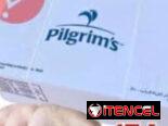 Cajas de pollo