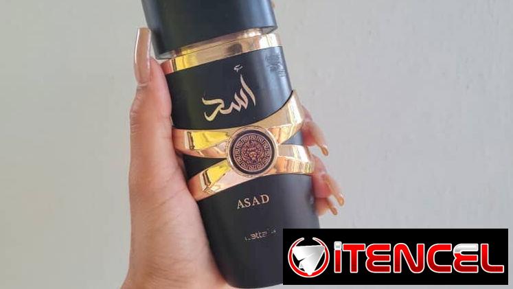 Perfumes y Fragancias