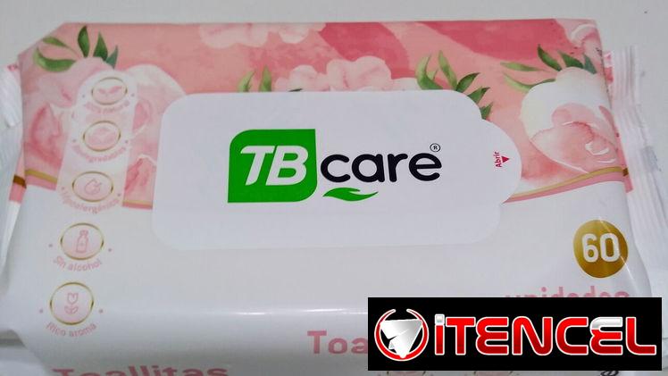 TOALLITAS HÚMEDAS DE LAS ROSADAS 60 PIEZAS