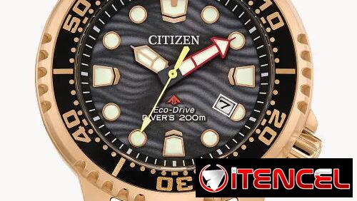 ⌚🌊 Citizen Promaster Dive BN0163-00H