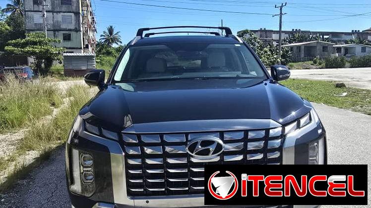 Vendo negocio, Hyundai Palisades, 2023 calligraphy