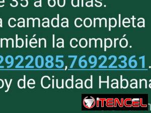 17a194bc1ff2925f73a2321262df3c88d43c8f2e04229a1f067a0c550265d34a