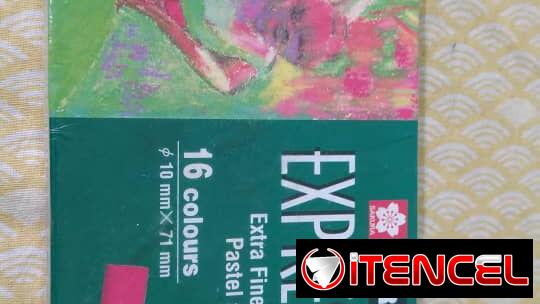 PARA ARTISTAS PLÁSTICOS: