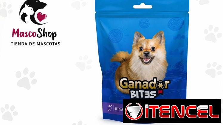 Premio para perros de razas pequeñas