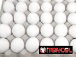 Venta de huevos blancos por cantidad