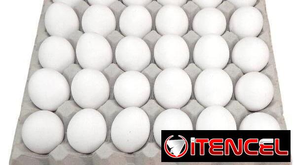 Venta de huevos blancos por cantidad