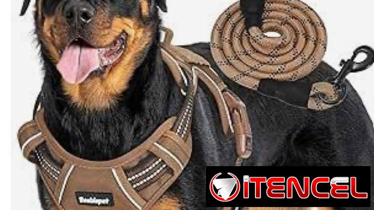 Correas con pecheras Reforzadas