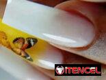 Manicuris VEDADO