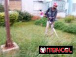 jardinería servicios, diseños y mantenimientos