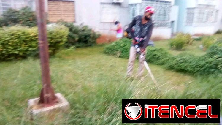 jardinería servicios, diseños y mantenimientos