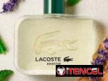 Perfumes 💯 originales con mensajería gratuita en toda La Habana