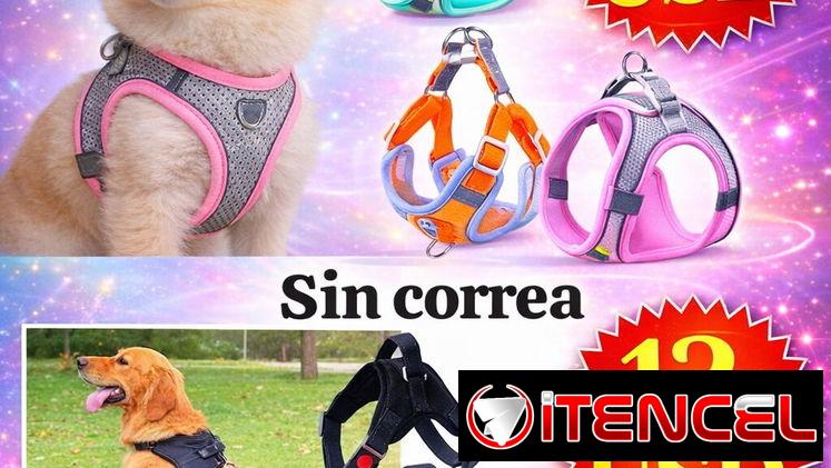 ARNÉS SIN CORREA PARA PERROS GRANDES Y PEQUEÑOS