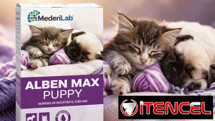 ALBEN MAX PUPPY