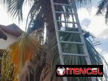 jardinería y Servicio de limpieza de exteriores