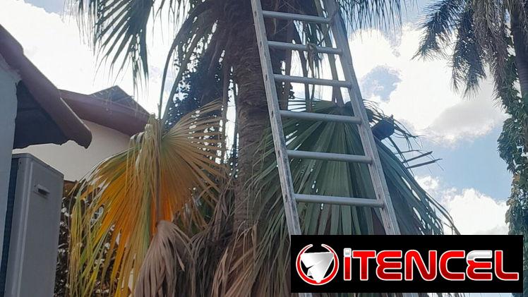jardinería y Servicio de limpieza de exteriores